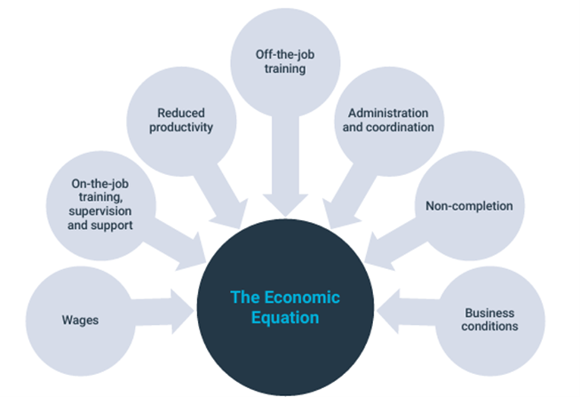 Apprenticeship economic equation